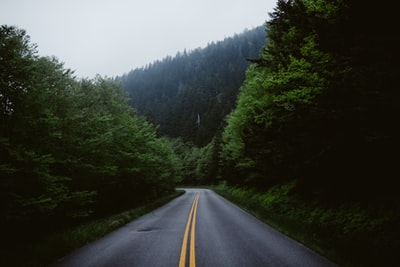 树间空旷的道路